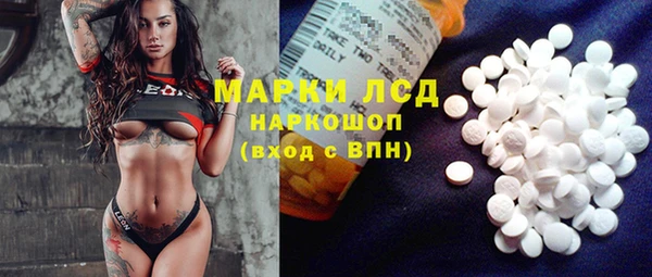 стаф Нефтекумск