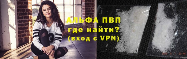 молекула духа Михайлов