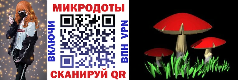 купить наркотики цена  Приморско-Ахтарск  Галлюциногенные грибы ЛСД 