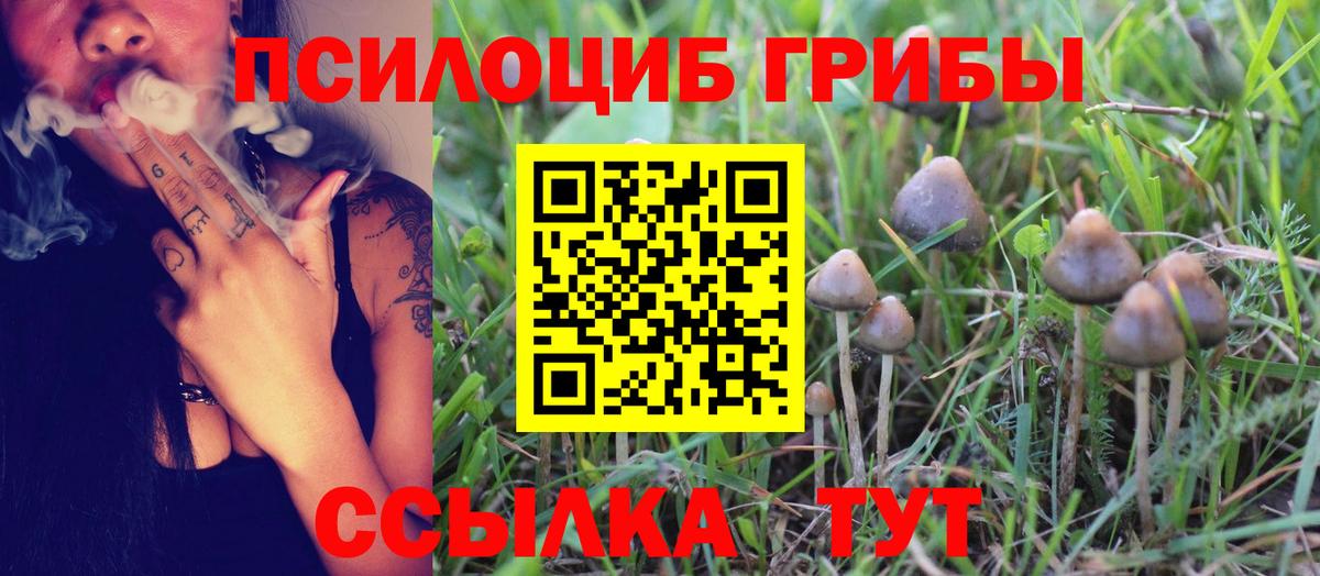Галлюциногенные грибы Psilocybine cubensis Приморско-Ахтарск