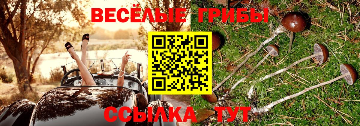 Псилоцибиновые грибы мицелий  Псилоцибиновые грибы Psilocybe  Вход с VPN  Приморско-Ахтарск 