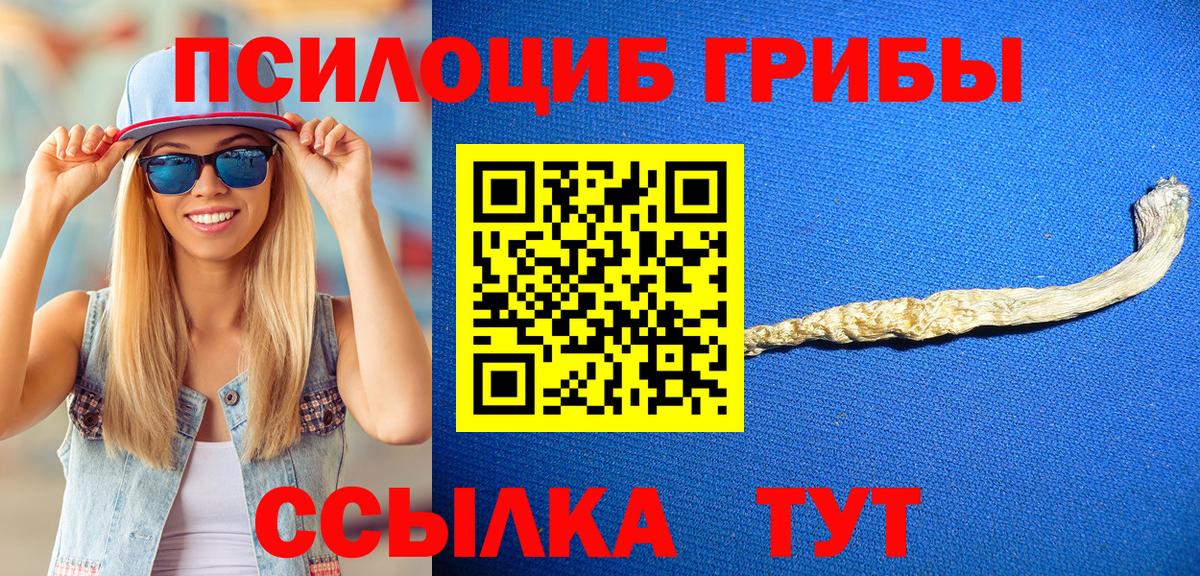 Псилоцибиновые грибы Magic Shrooms  наркота  Псилоцибиновые грибы мухоморы  Приморско-Ахтарск 