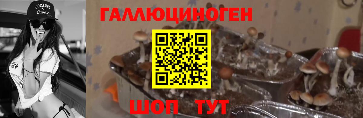 Галлюциногенные грибы MAGIC MUSHROOMS Приморско-Ахтарск